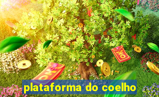 plataforma do coelho