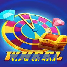 how to set wallet password in bingo plus