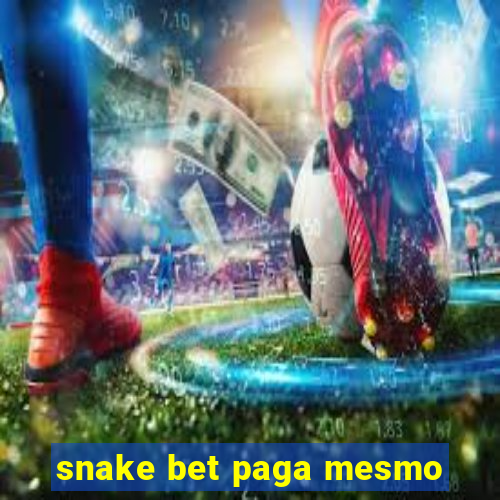 snake bet paga mesmo