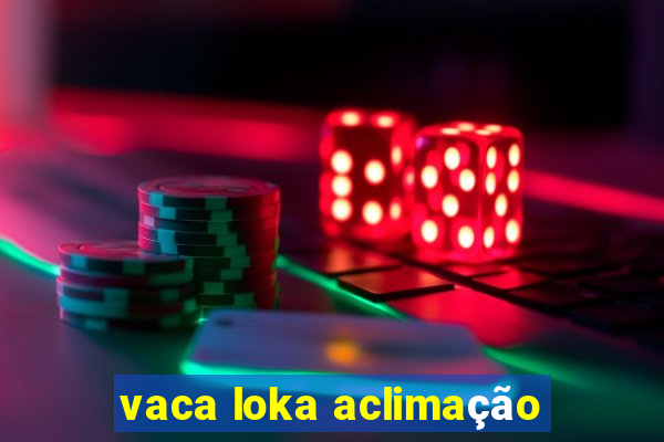 vaca loka aclimação