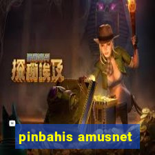 pinbahis amusnet