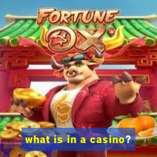 what is in a casino?