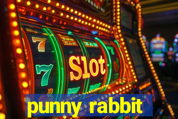 punny rabbit