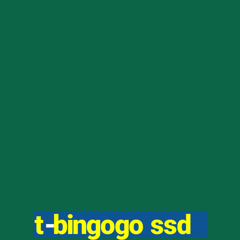 t-bingogo ssd