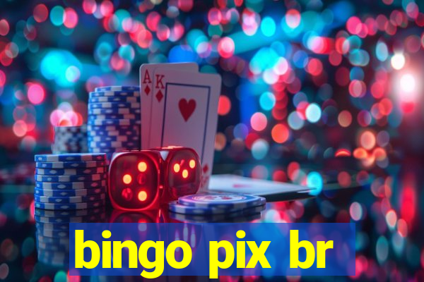 bingo pix br