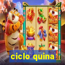 ciclo quina