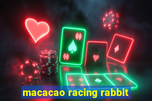 macacao racing rabbit