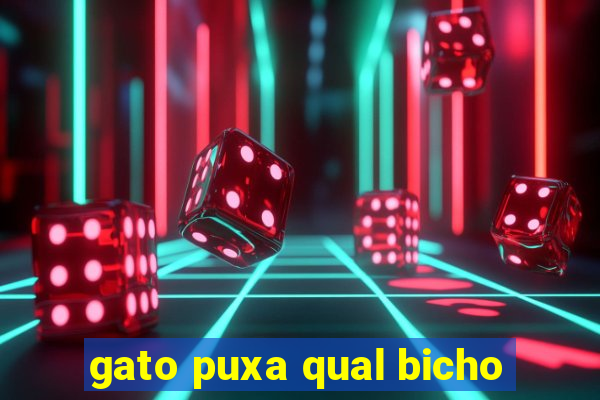 gato puxa qual bicho