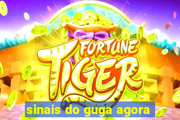 sinais do guga agora