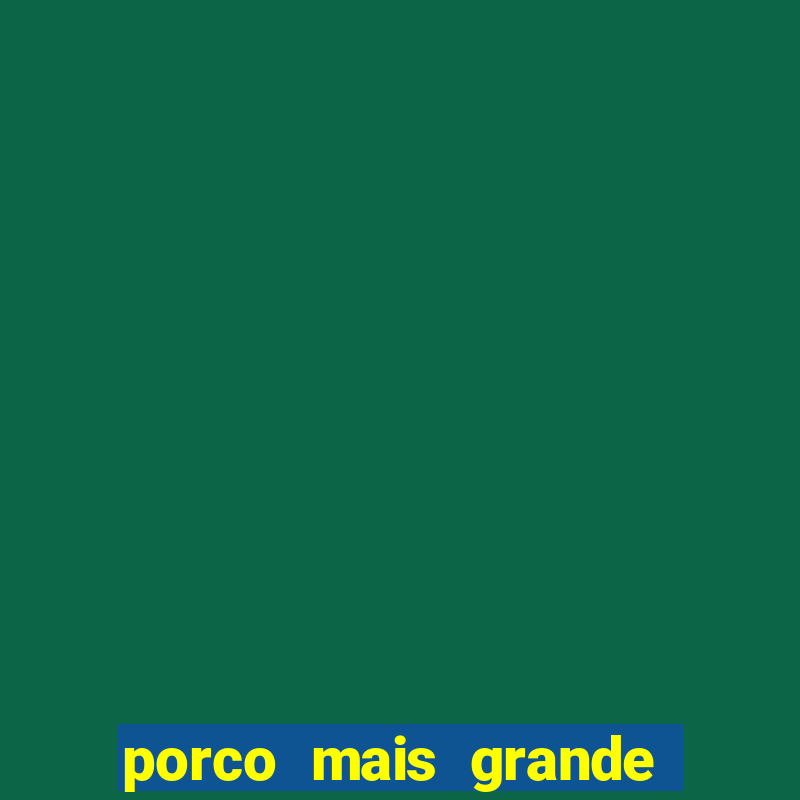 porco mais grande do mundo