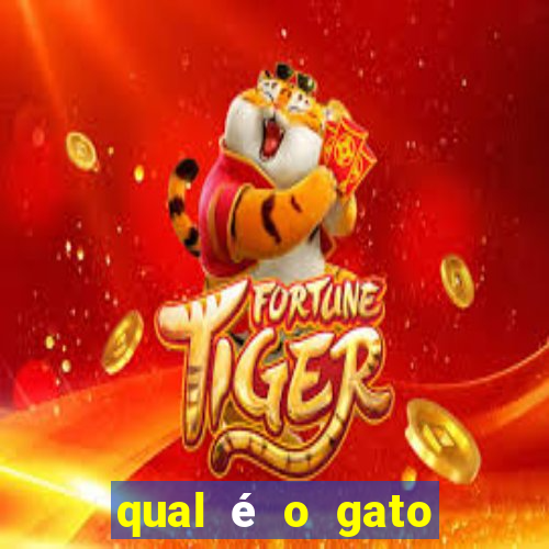 qual é o gato mais feio