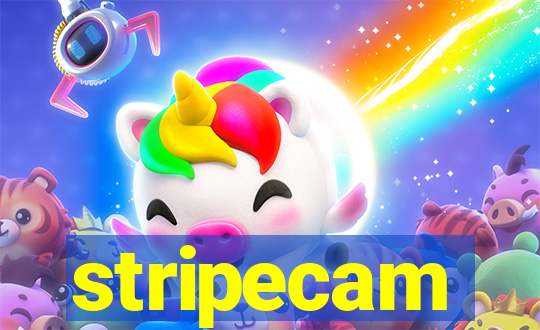 stripecam