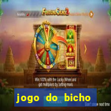 jogo do bicho online seguro