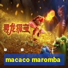 macaco maromba