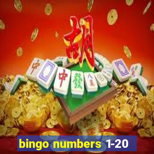 bingo numbers 1-20