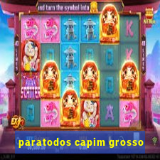 paratodos capim grosso