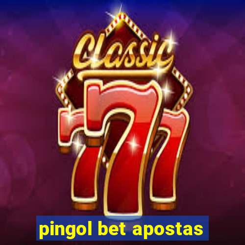 pingol bet apostas