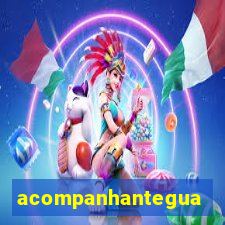 acompanhanteguanambi