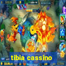 tibia cassino