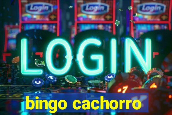 bingo cachorro