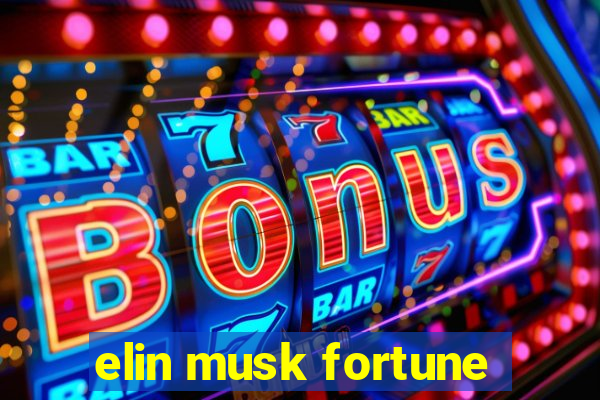 elin musk fortune