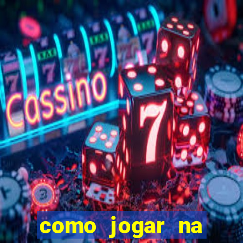 como jogar na lotinha do jogo do bicho