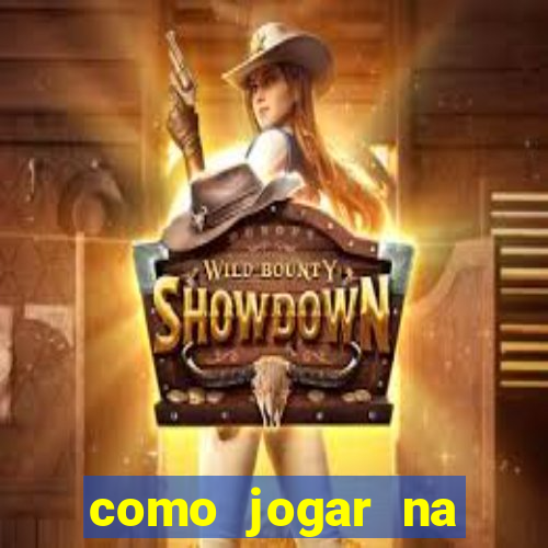 como jogar na lotinha do jogo do bicho