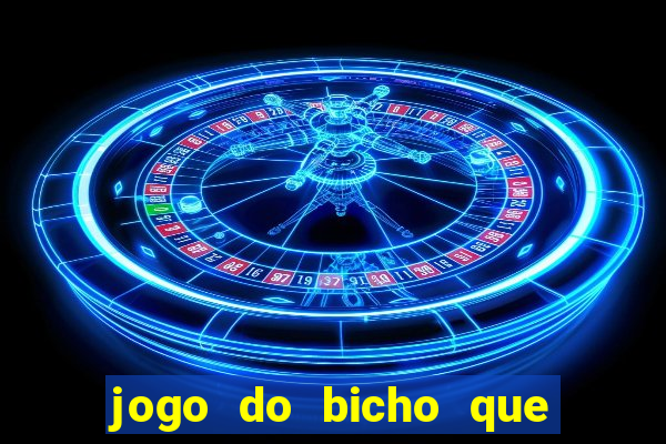 jogo do bicho que da dinheiro