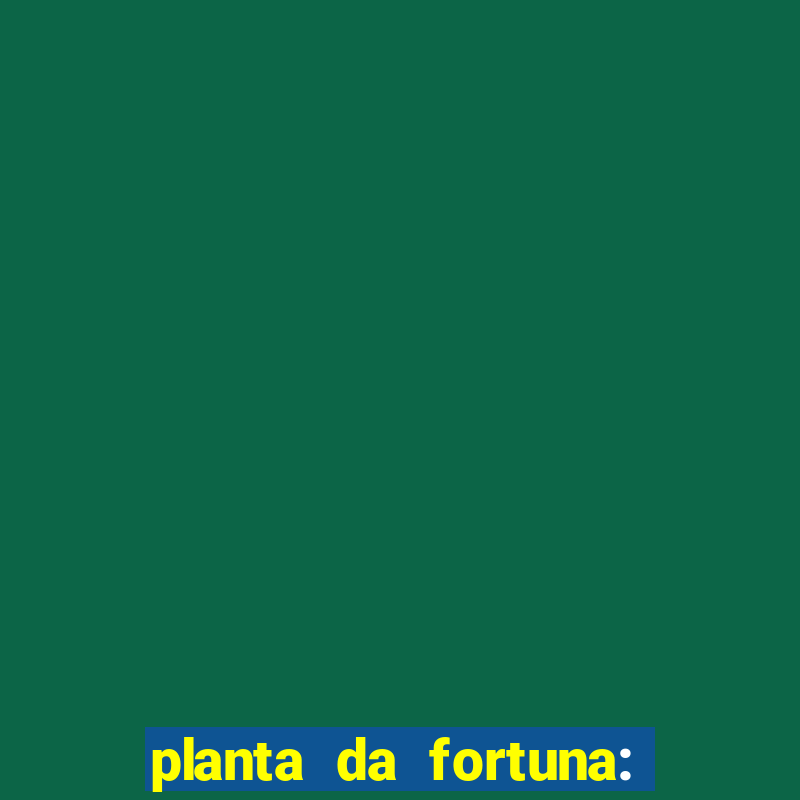 planta da fortuna: como cuidar