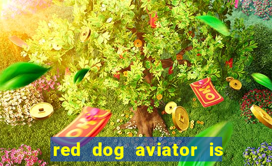 red dog aviator is real or fake