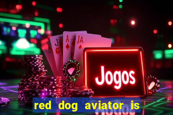 red dog aviator is real or fake