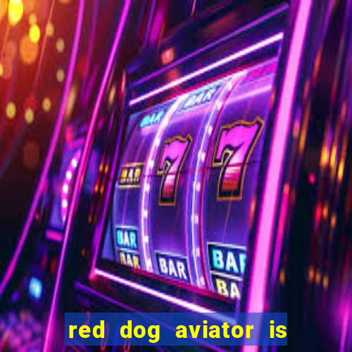 red dog aviator is real or fake