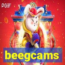 beegcams