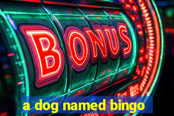 a dog named bingo