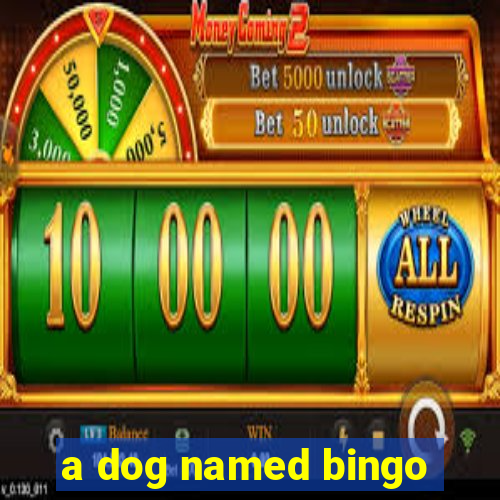 a dog named bingo