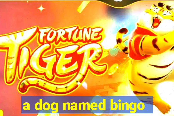 a dog named bingo