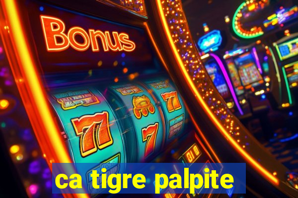 ca tigre palpite