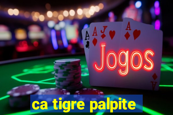 ca tigre palpite