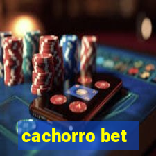 cachorro bet