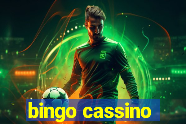 bingo cassino