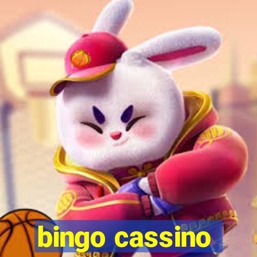 bingo cassino