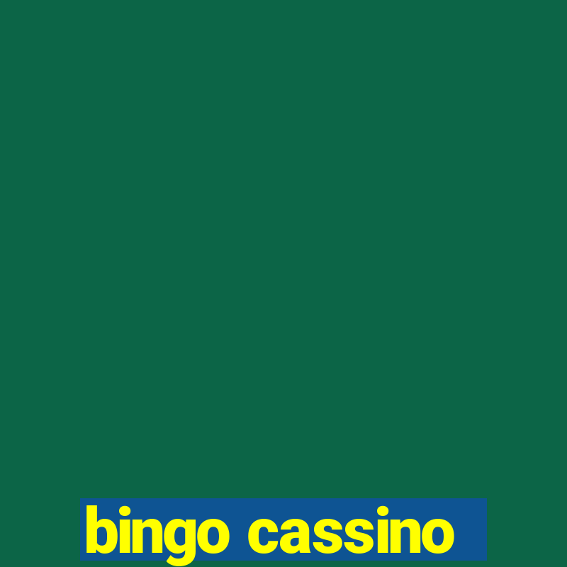 bingo cassino