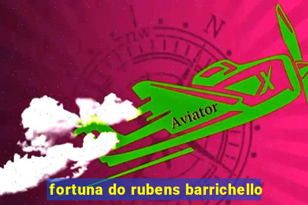 fortuna do rubens barrichello