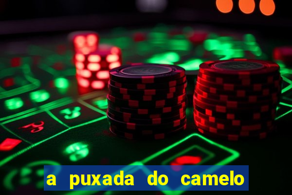 a puxada do camelo no jogo do bicho