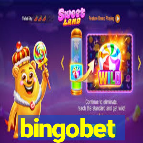 bingobet