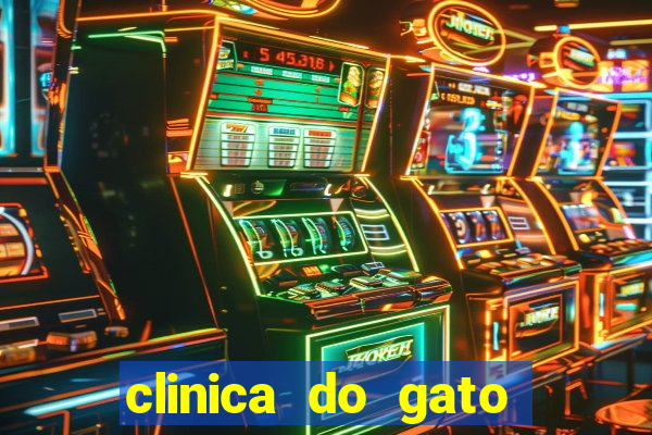 clinica do gato porto alegre