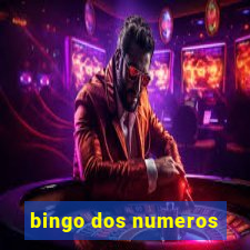 bingo dos numeros