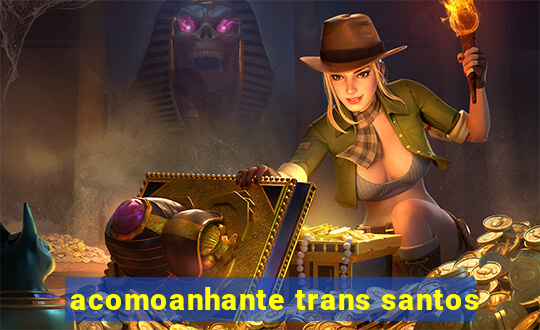 acomoanhante trans santos