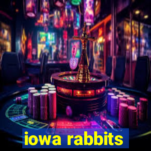 iowa rabbits