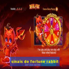 sinais do fortune rabbit